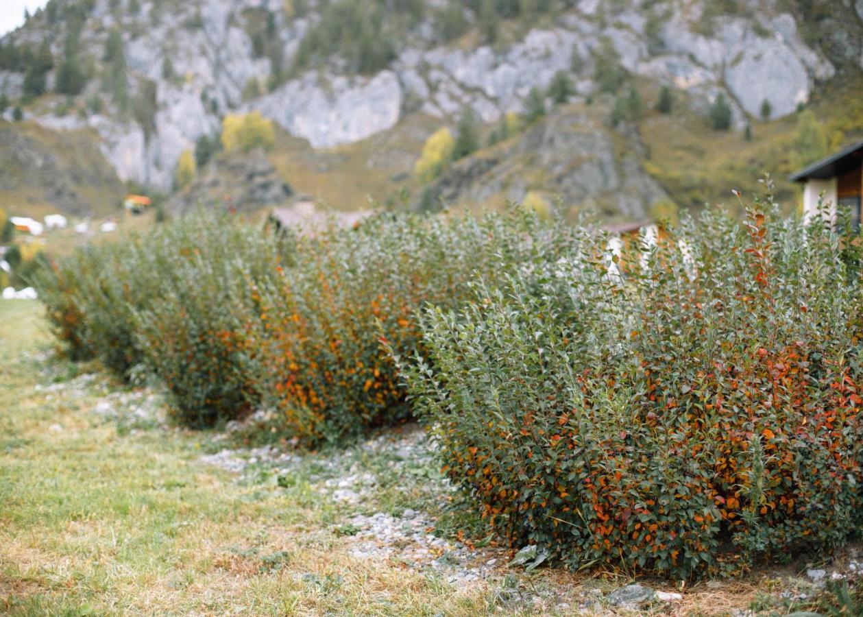 Klever Resort Çemal Dış mekan fotoğraf